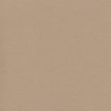 ADP Cardstock 8.5 x 11 - RECYCLED KRAFT Single Sheet