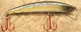 Frantic Minnow Fishing Lure Shallow Topwater Diver JLVLures Casting JFM165R