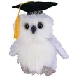 Ty Beanie Babies Class of 2004 the Owl Retired