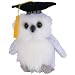 Ty Beanie Babies Class of 2004 the Owl Retired