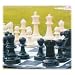 Giant Chess Garden Chess Set