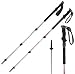 Sporting Goods : Black Diamond Trail Shock Trekking Poles (Pair)