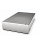 LaCie 301103U F.A. Porsche 500 GB USB 2.0 External Hard Drive