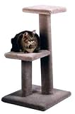 Mini Cat Tree : Color GREEN : Leg Covering 1 SISAL LEG : Size 36 INCHES