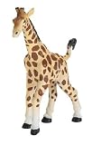 Walking Giraffe Baby, Wild Safari