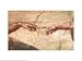 Creation of Adam (detail) Religion & Philosophy Art Poster Print by Michelangelo Buonarroti, 30x24