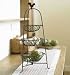 Image of Tabletop Vegetable Rack - P114