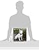 Bull Terrier Calendar - Only Dog Breed Bull Terriers Calendar - 2016 Wall calendars - Dog Calendars - Monthly Wall Calendar by Avonside