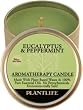 Eucalyptus & Peppermint Essential Oil Aromatherapy Candle- 24 hr. burn- 3 oz.