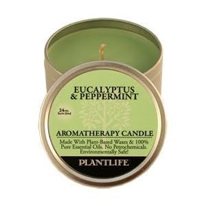 Eucalyptus & Peppermint Aromatherapy Candle- 24 hr. burn time- made with 100% pure essential oils