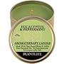 Eucalyptus & Peppermint Aromatherapy Candle- 24 hr. burn time- made with 100% pure essential oils