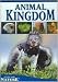 Animal Kingdom - Eyes on Nature