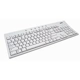 BenQ Internet Keyboard (X120)