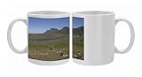 DH-3064 Solar Power Plant Photo Mugs