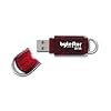 ByteStor High Speed 16GB Dataferry USB Flash Drive - Red