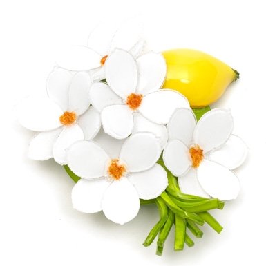 Lemon Brooch by Cilea