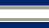 Tampa Bay Lightning NHL Team Color Wallpaper Border