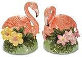 Pink Flamingo Mingo Garden Salt & Pepper Shaker S/P Set