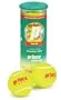 Prince Tour Premium Extra Duty Tennis Balls