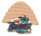 Charlotte Sting WNBA City Pin
