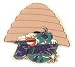 Charlotte Sting WNBA City Pin