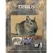 Degus: Biologie - Haltung - Zucht
