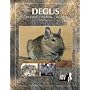 Degus: Biologie - Haltung - Zucht