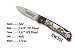 SW302 * S&W SCRIMSHAW QUAIL