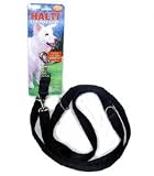 Halti Training Lead Large