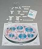SciEd Molecules of Metabolism Kit: Understanding Digestion and Respiration