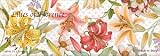 Saponificio Artigianale Fiorentino Lilies Of Florence Soap Set 3 X 5.29 Oz. From Italy