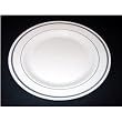 Masterpiece Premium Quality Heavyweight Plastic Plates: 25 Dinner Plates and 25 Salad Plates
