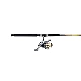Shakespeare Surf Fishing Rod and Reel Combo