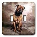 Dogs Mustiff - Bullmastiff - Light Switch Covers - double toggle switch