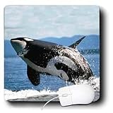 Whales - Killer whale airbourne - Mouse Pads
