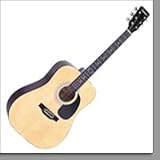 Falcon Acoustic Guitar Natural FG100N