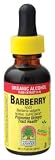 Nature's Answer - Barberry Root, 2000 mg, 1 fl oz liquid