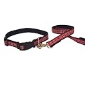 Red Plaid Collar and Harness