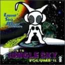 Revue Various Artists  / This Is Jungle Sky, Vol. 2