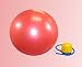 Sporting Goods : Exercise Ball / Balance Ball with Foot Pump ((Large, 75 Cm)