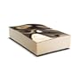 LaCie 301126U Golden Disk 500GB USB 2.0 External Hard Drive