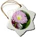Pretty Pink English Daisy Flower - Spring Floral Photography - 3 Inch Snowflake Porcelain Ornament
