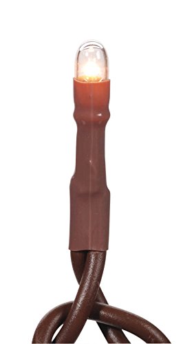 Darice 100 Count Teeny Lights, Brown