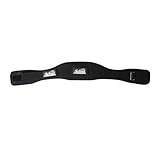 Schiek 3004 Power Lifting Belt