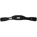 Schiek Nylon Support Belt