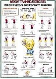 Bicep Workout Chart