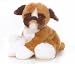   - Baxter Boxer Puppy 12