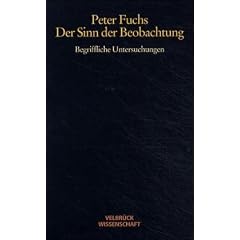 Der Sinn der Beobachtung. Begriffliche Untersuchungen (Taschenbuch)