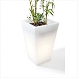 IMAGE OF Hugo Pot Size: Tall