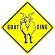GOAT CROSSING sign * street animal farm zoo